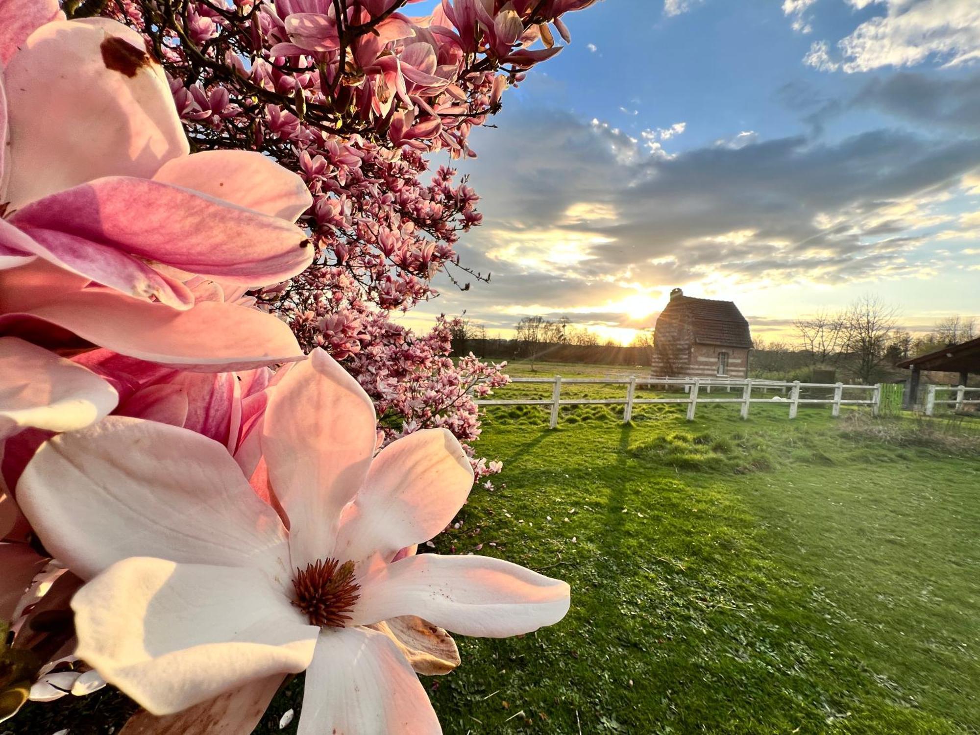 Les Aires En Scenes Au Bord De L'Eau Bed & Breakfast Epagne-Epagnette Exterior photo