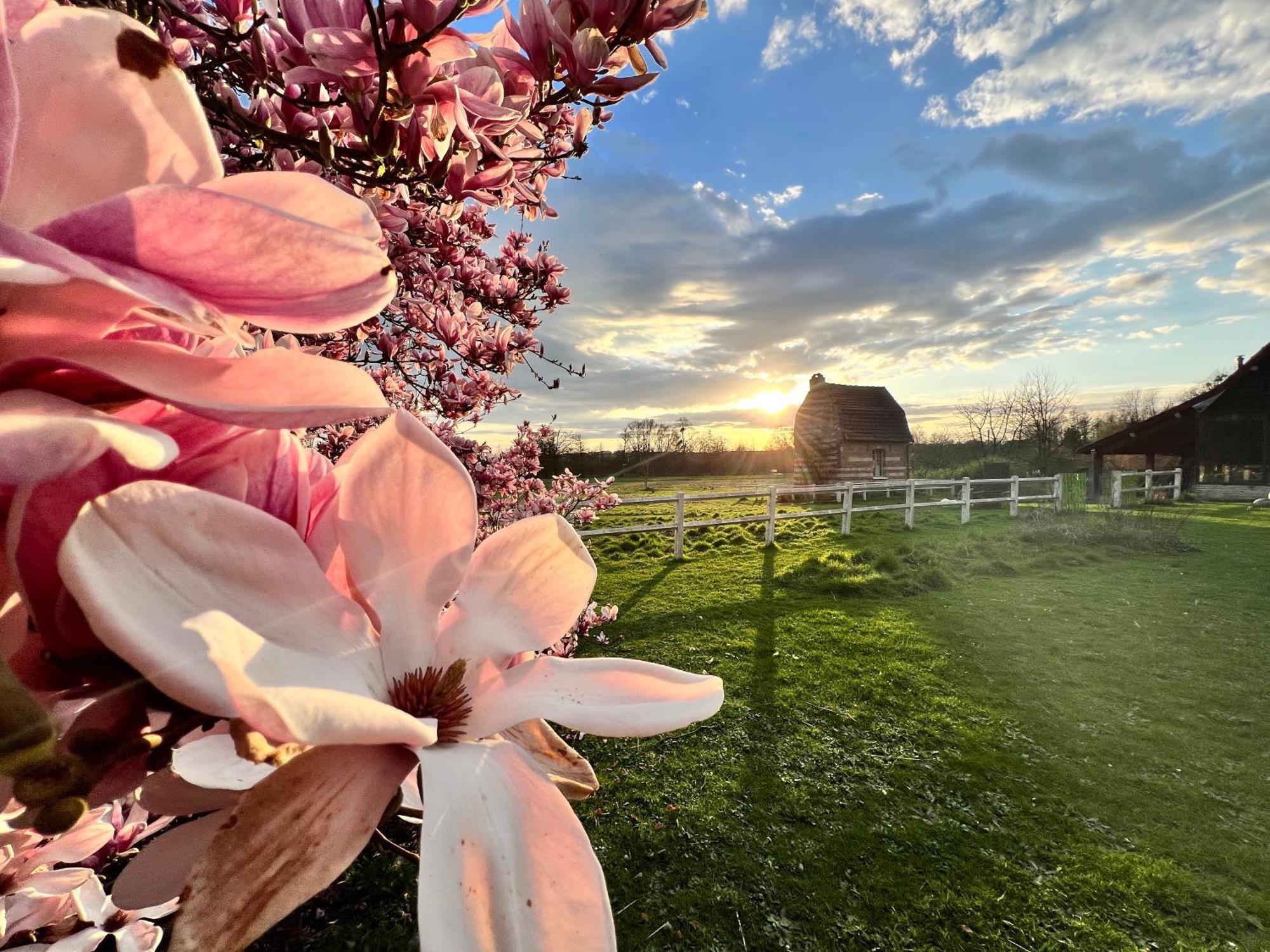 Les Aires En Scenes Au Bord De L'Eau Bed & Breakfast Epagne-Epagnette Exterior photo